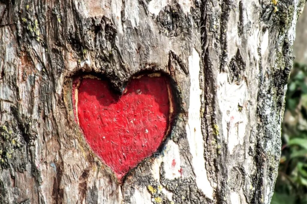 cuore su tronco simbolo della passione