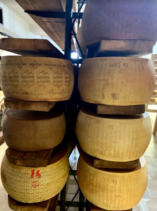 forme di formaggio Trentino e Parmigiano Reggiano nella cantina di Giolito