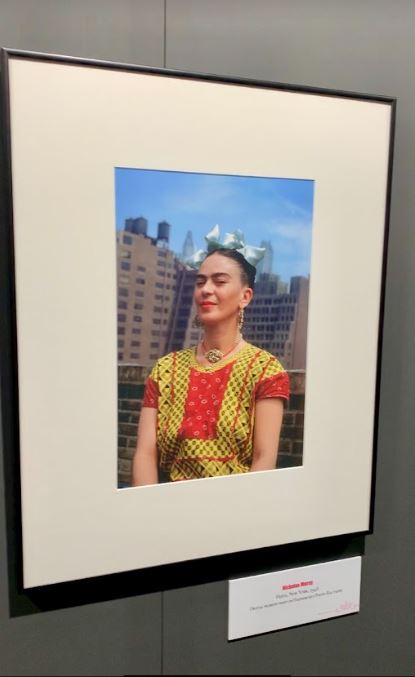 Frida Kahlo Stupinigi - immagine Frida Kahlo sul tetto di New York